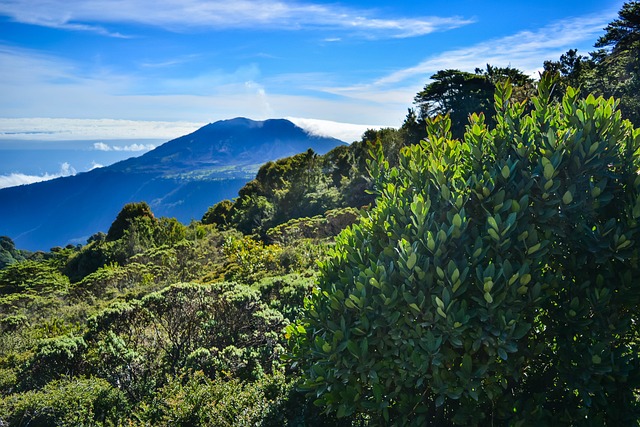 Klima und beste Reisezeit Costa Rica